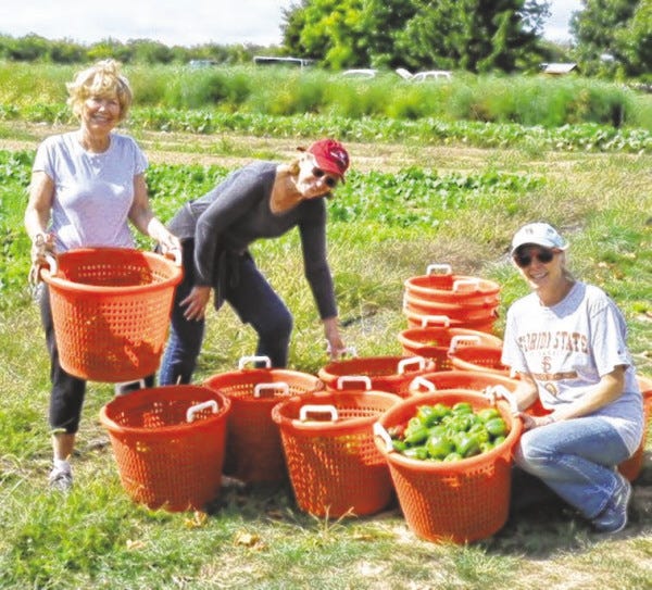 Courtesy photo
Susan Sullivan, Heather Stivison, and Daphne Fogg Siega show off baskets of peppers harvested at the South Dartmouth community farm.