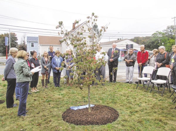 Peggy Aulisio/Advocate
Family, friends, town officials and fellow members of the East Fairhaven Improvement Association remember Edith Silva at a tree planting and plaque unveiling on Oct. 4.