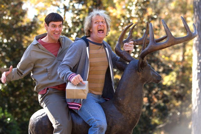 Jim Carrey and Jeff Daniels and reprise their signature roles as Lloyd and Harry in "Dumb and Dumber To".