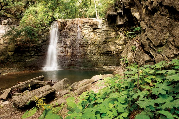 Griggs Reservoir Park: a nature preserve and a small-yet-stunning waterfall.