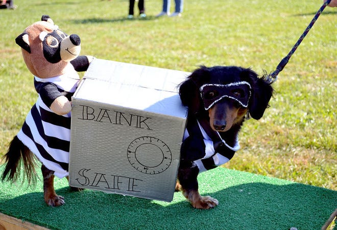 A dog dressed as a pair of bank robbers stole the show at a previous Howl-o-ween Canine Celebration in Doylestown Township. The event this year takes place Oct. 25. Doylestown will host a "Spooktacular" parade, featuring children and dogs in costumes on Nov. 1.