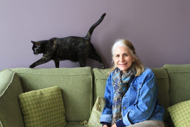 Carol Mossa, in her East Greenwich loft with her cat Carla, has reinvented herself from a real estate developer with Type A personality to a massage therapist and founder of a greeting-card business spreading inspirational messages. She’s embarking on a month-long cross-country trip to sell her cards.