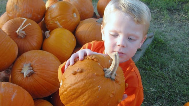 The public is invited to visit the Grace Presbyterian pumpkin patch, 1700 Gattis School Road, from Oct. 17-31.