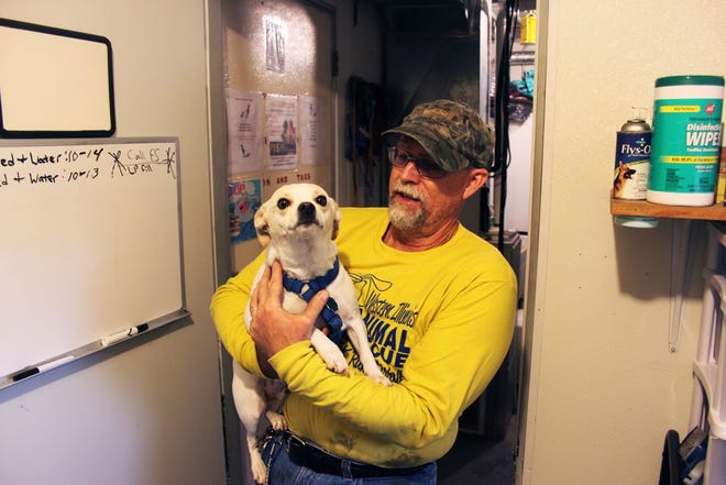 Gene Bryant holds his dog, Bruno, who he adopted from the shelter about a year ago. Bruno is a Jack Russell-Chihuahua mix. Like Bryant's three other dogs, "Bruno was just going to be a foster dog, but he has been with us for a year, and we couldn't live without him," Bryant said. "If I could, I would take all of these dogs home with me."