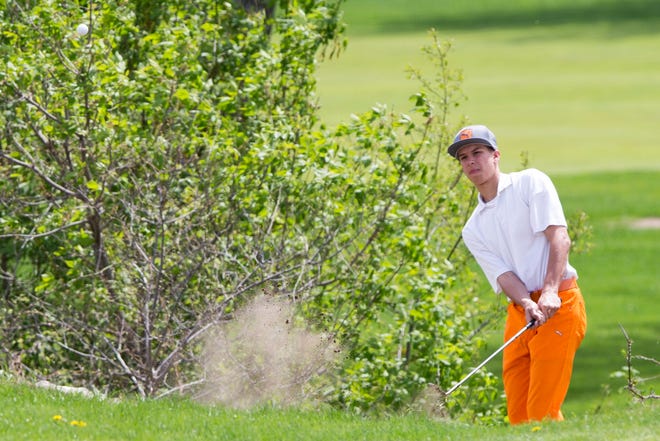 Byron’s Dennis Reedy, shown hitting out of the sand during the Gold Medal Classic in May, has won four of his eight tourneys and tied for first in a fifth this year headed into Friday and Saturday’s State Class 1A golf tournament.