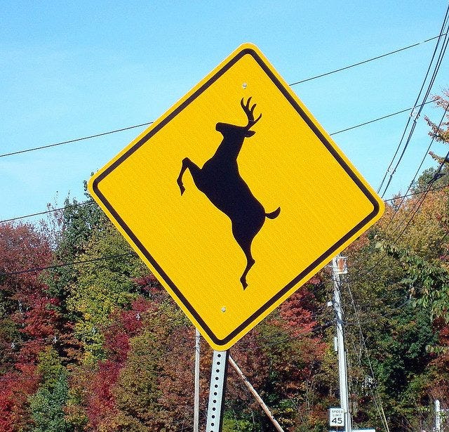 Law enforcement and state officials are warning drivers to be aware of the increased presence of deer on roads.