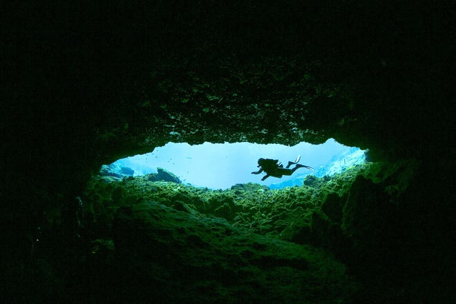 World renowned cave explorer, cartographer, and artist Eric Hutcheson enters the cavern in the main spring at Silver Springs on the Silver River on Sept. 4, 2013.