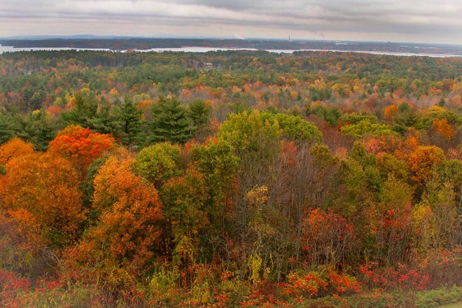 A colorful view from the top of the fire tower at Stratham Hill Park with all of the vibrant trees. The town is discussing restoring the view from Stratham Hill Park to Great Bay.

Photo by Rich Beauchesne/Seacoastonline