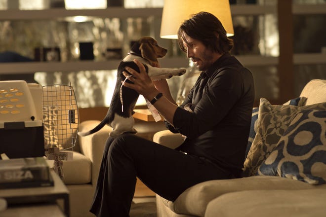 Never separate a man and his dog if Keanu Reeves is the man in “John Wick.”