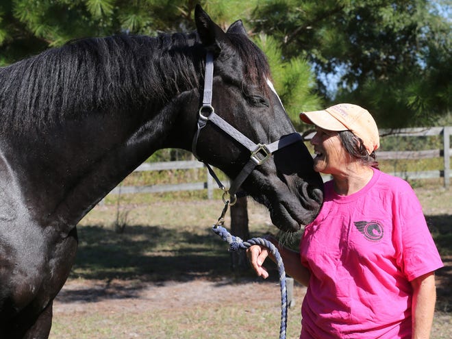 Laurie Wolf, who claims she can communicate with animals, shares a moment with Nyte, a 15-year-old Dutch Warmblood at Tatum Ridge Farm in Williston on Monday.