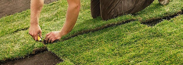 When installing sod, don't leave any cracks, because that is where the weeds will spring up.
