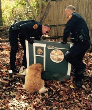 Police officers work to free a dog that got its head caught in the entrance of a cat’s house.