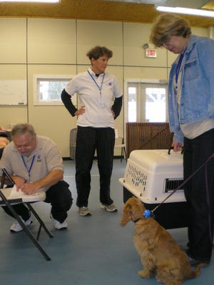 Yankee Golden Retriever Rescue (YGRR) Kennel Manager Sue Averill overseeing intake of Bobbie Ewels' puppy Courtland while Jim Ryder checks the intake form. All are from Hudson. COURTESY PHOTO