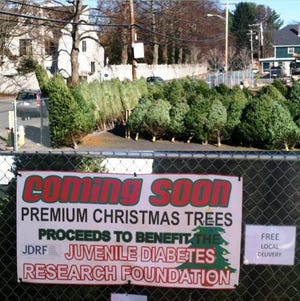 Every year for the past four years the Cloutmans have been selling Christmas trees to raise money for juvenile diabetes research at Dodge Tree Service, 281 Willow St., Hamilton. The sale begins Friday. Courtesy photo