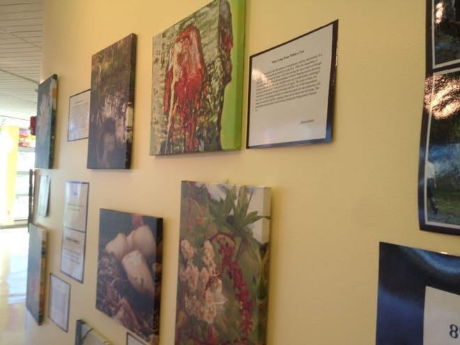 A “Science is All Around Us” photography exhibit, comprised of photos taken by Grey Nun Academy eighth-grade students, is on display at the private Catholic school in Lower Makefield.