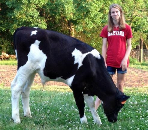 Photo submitted by Annie Thompson
Abigale Patten poses with the calf she bottle-raised and trained to show at the Cleveland County Fairgrounds.