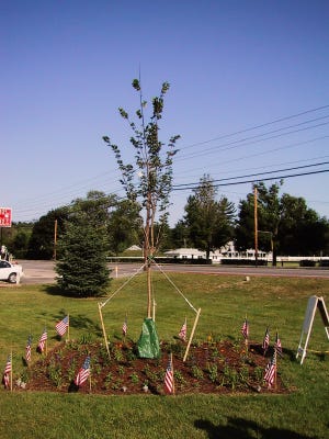 The honor garden designs feature a liberty elm tree planted in 2002 to celebrate Hanover's 275th anniversary.

Courtesy Photo