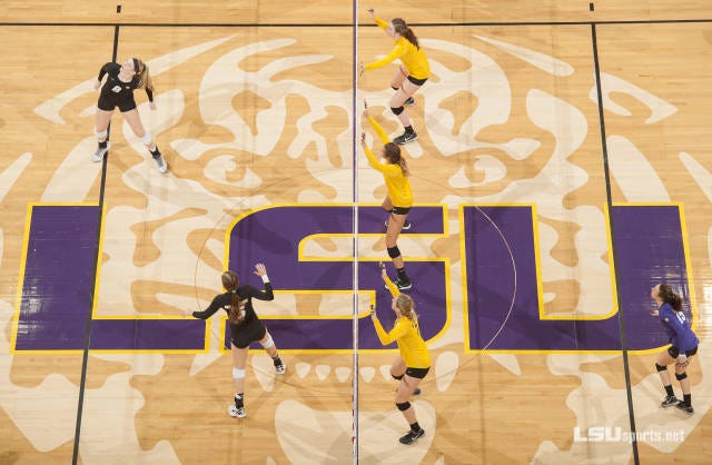Photo by LSUsports.net.