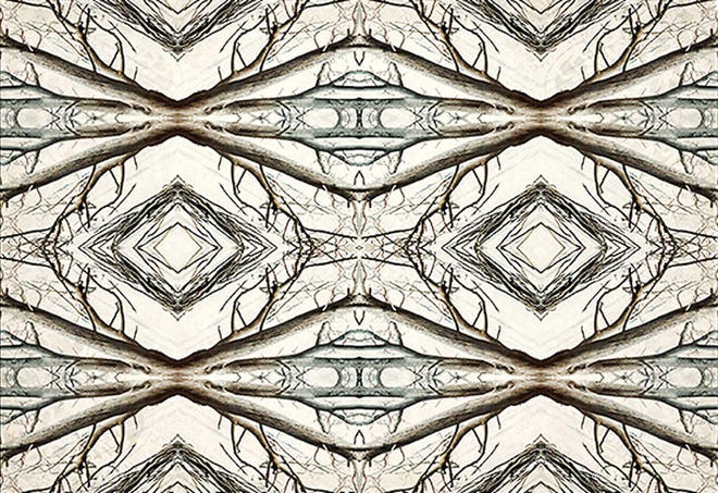 Photo by Barbara Marie Kraus Photographer Barbara Marie Kraus finds inspiration in vintage textiles, fractal geometry and gnarled boughs of live oak trees.