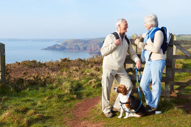 Owning a dog can keep seniors healthier, more fit and increase their overall quality of life.