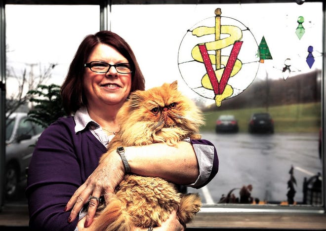 Cathy Smith of Sifferlin Animal Clinic in Dover, and the office cat Johnny, show some of the stained glass Smith has created.