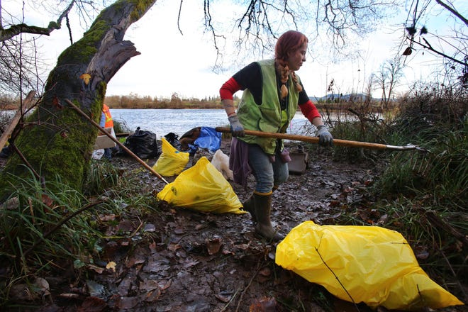 Stacy Davis, part of an inmate work crew, cleans debris left by homeless encampments along the banks of the Willamette River in Eugene, Ore. Friday, December 19, 2014. The crew is battling rising river levels, which may soon sweep all the debris downstream. (Brian Davies/The Register-Guard)