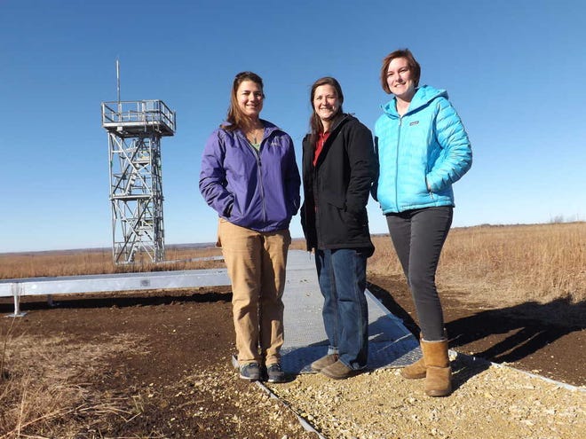 From left, mammalogist Samantha Kremidas, Jennifer Smith, manager of the National Ecological Observatory Network's Prairie Peninsula domain, and botanist Nicole Stanton stand near a 26-foot tower erected at Kansas State University's Konza Prairie Biological Station southwest of Manhattan. After environmental sensors are installed on the tower and in the soil, the NEON field site will begin collecting provisional data on the causes and consequences of climate change, land use change and invasive species. The field site is part of a 30-year project funded by the National Science Foundation.