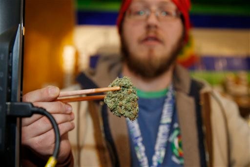 Sales associate Matt Hart uses chopsticks to hold a bud of Lemon Skunk, the strain of highest potency available at the 3D Dispensary in Denver.