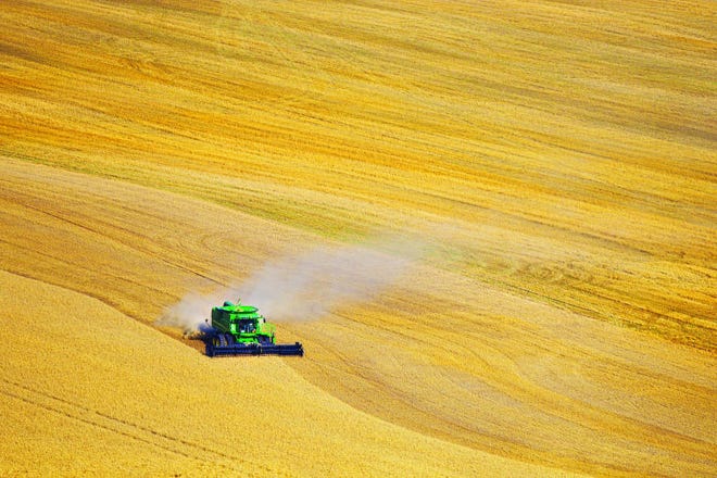 Calvin Mattheis/The Hutchinson News A John Deere combine harvests wheat outside of Nickerson on July 2, 2014.