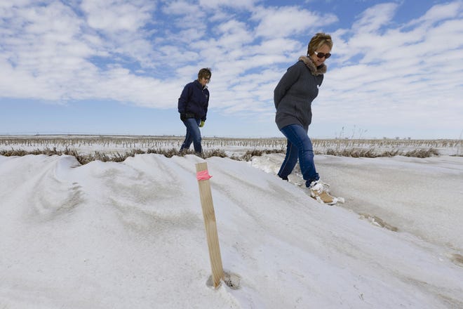 FILE - In this March 11, 2013, file photo sisters Jenni Harrington, left, and Abbi Kleinschmidt pass a stake that marks the proposed route of the Keystone XL pipeline on Harrington's property near Bradshaw, Neb. The Republican-led Congress appears ready to approve the Keystone XL oil pipeline but Harrington says they won't sell out the next generation for any amount, not even $50 million. No matter what actions are taken in Washington, the entire 1,179-mile project could be delayed until the state of Nebraska signs off on the route. (AP Photo/Nati Harnik, File)