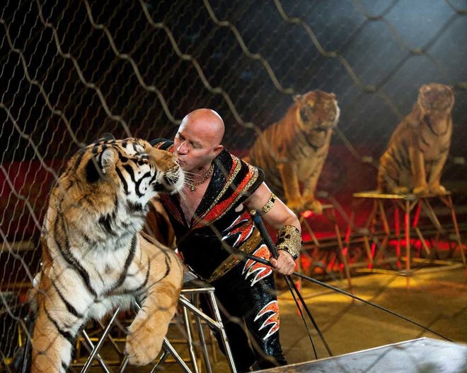 Feld Entertainment Animal trainer Tabayara Maluenda is with Ringling Bros. and Barnum & Bailey's "Circus Xtreme," which will be at Jacksonville Veterans Memorial Arena from Jan. 15-18.
