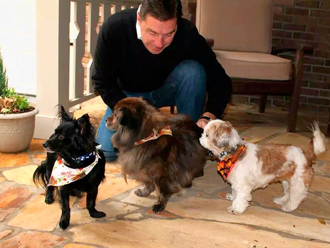 Will Trantham kneels by Jackson, left, a Shih Tzu, along with Darcy, center, and Sophie. Trantham and his wife adopted Jackson when they checked into Aloft Hotel in downtown Asheville, N.C.