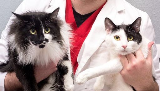 VCA Lancaster Animal Hospital welcomes new vet
