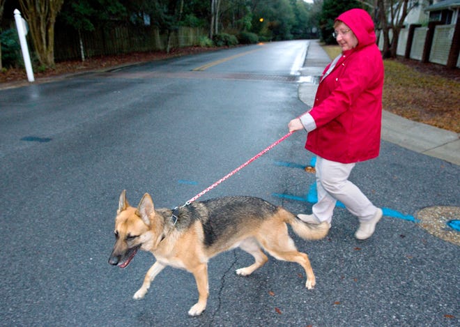Colleen Cook walks foster dog, Sam, around her Bluewater Bay neighborhood Thursday. Cook is one of about 50 volunteer who care for the canines of deployed military personnel through the Dogs on Deployment program.