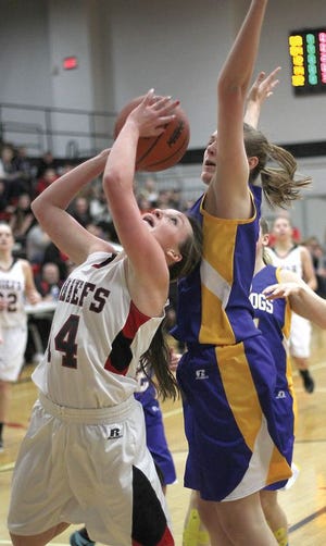 Skyler DeMeyer of White Pigeon gets a shot up around the defense of Bailee May of Centreville on Friday night.