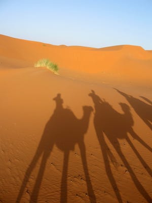 The desert sun casts a shadow of a three-camel caravan on the sand dunes of Erg Chebbi, Morocco, at the edge of the Saharan desert. The route from Marrakech, Morocco, to the Saharan desert follows one of Africa's most mythic and historic trading routes: the road to Timbuktu, lined with centuries-old castles, oases and the occasional camel-crossing road warning. (AP Photo/Giovanna DellíOrto)