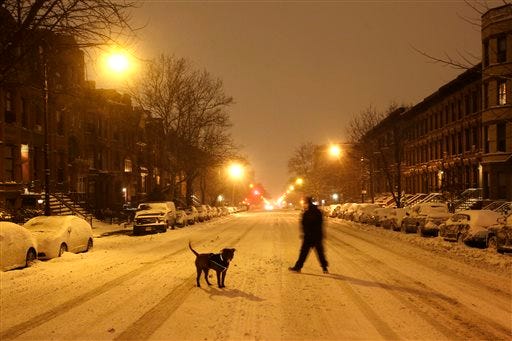 A man takes his dog for an early morning walk Tuesday in the middle of an empty street in the Park Slope neighborhood in the Brooklyn borough of New York.