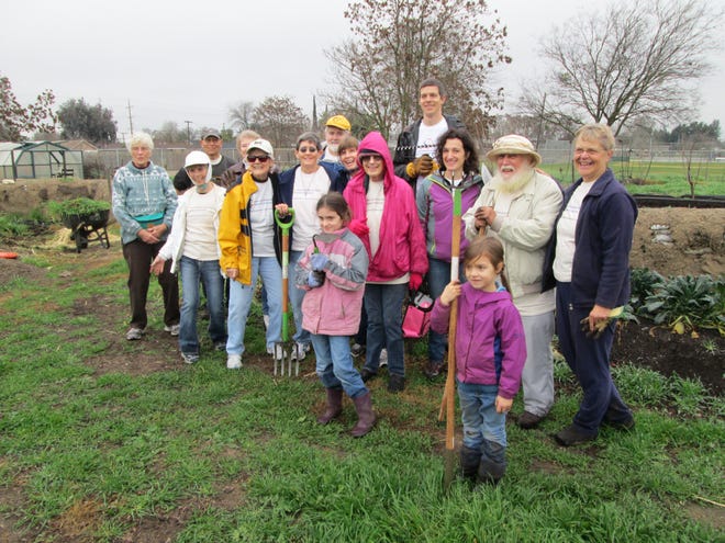 First Unitarian Universalist Church of Stockton members and friends celebrated the MLK Day of Service on Jan. 19 by volunteering at the Boggs Tract Community Farm in Stockton. MIKAYLA MEYLING/CONTRIBUTED PHOTOS