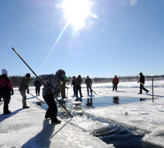 Volunteers and visitors take part in the annual ice harvest at Mill Pond No. 1 in Tobyhanna on Saturday, January 31, 2015. Each year, weather permitting, the ice harvesting tradtion, which was once a major industry in the area, is revived and remembered.