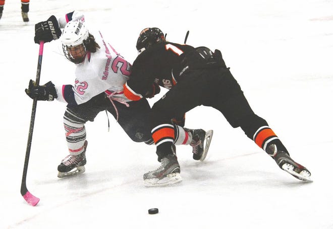 Sault High's Bobby Price (22) tries to get around an Escanaba defender during a hockey game at Pullar Stadium Saturday. The Blue Devils won 1-0 in overtime.