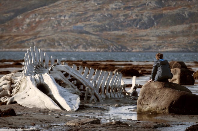 Lives and settings are bleak on the Russian coast of the Barents Sea in “Leviathan.”