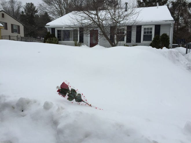A couple of roses were left as a makeshift memorial in front of the 17 Morgan St. home of Ariana Rosa-Soares in Brockton, Saturday, Feb. 7, 2015.