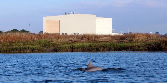 Looking for Pearls: A closer look at the Savannah State Marine Mammal ...