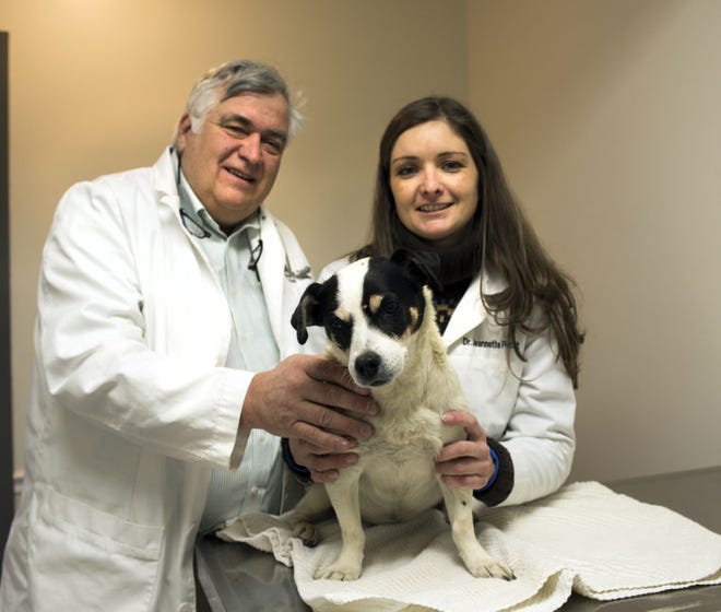 How To Veterinary Pictured is Dr William Pettit and Dr Jeannette Pettit with 'Angel' Photo by William Johnson