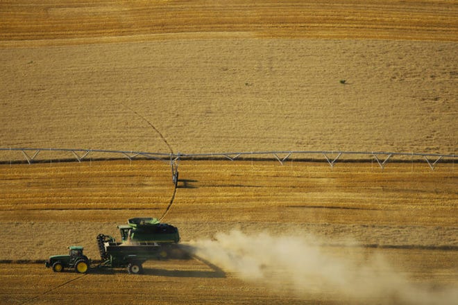 A John Deere combine unloads its wheat into a grain cart outside of Pleasantview, Kansas, on Wednesday, July 2, 2014.