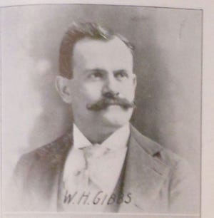 William Henry Gibbs