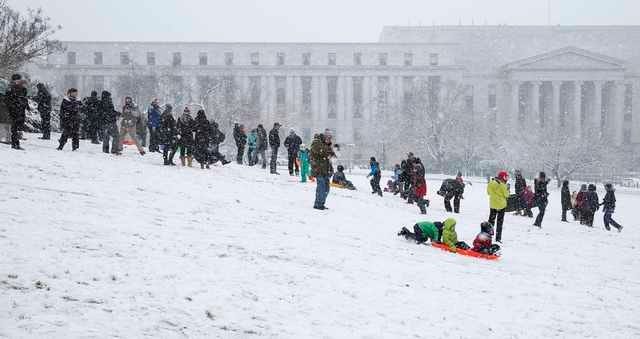 Children sled on the west lawn of the U.S. Capitol during a snow storm in Washington March 5, 2015. Sledding on the grounds of the Capitol is prohibited but a "sled in" was organized to protest the regulations that prohibit sledding. REUTERS/Joshua Roberts