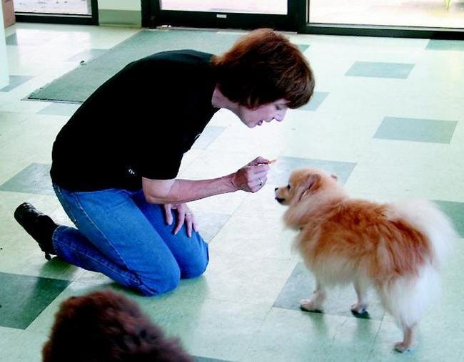 Kathy Neitzert, founder of Animal Aid of Branch County, plays wih Suki. Animal Aid was founded in the hopes of helping sheltered pets avoid euthanasia. AMANDA VANAUKER PHOTO