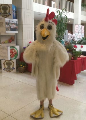 The giant chicken posed frequently for photos.