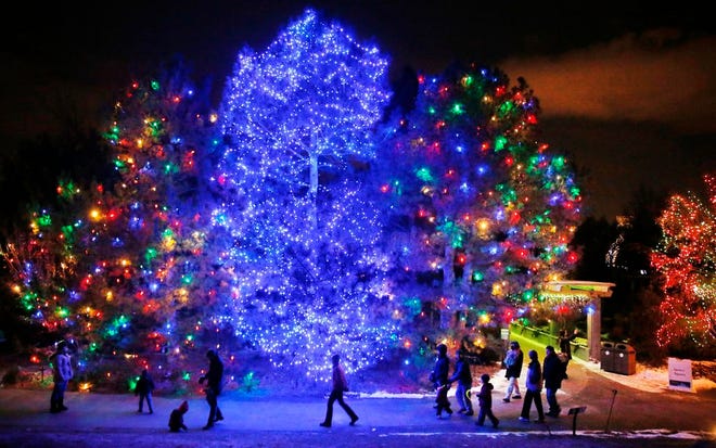 In this Dec. 23, 2013 file photo, people take in the elaborate holiday light designs at the Blossoms of Light on the grounds of the Denver Botanic Gardens, which logged more visitors in 2014 than any other public garden in North America. (AP Photo/Brennan Linsley, File)
